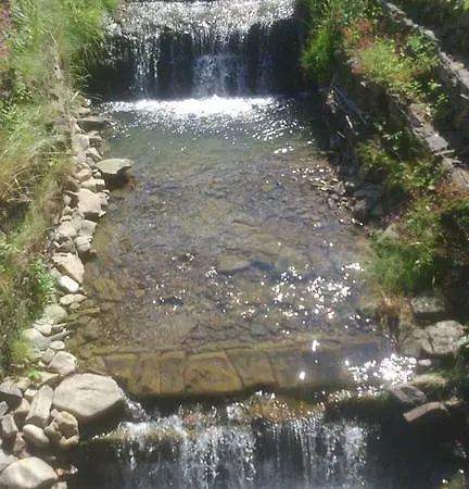 D.w. Lidia Korbielów